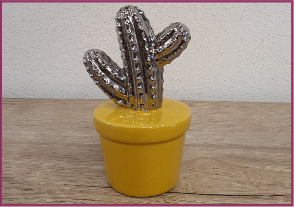 Petit cactus argenté